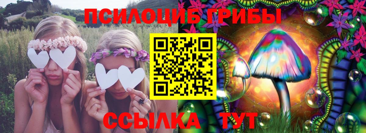 Псилоцибиновые грибы MAGIC MUSHROOMS Кушва