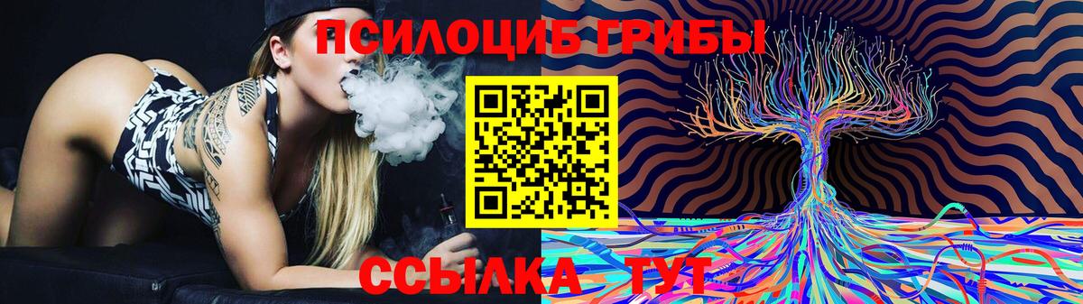 Псилоцибиновые грибы Psilocybe  Псилоцибиновые грибы мицелий  Кушва  Вход с VPN 